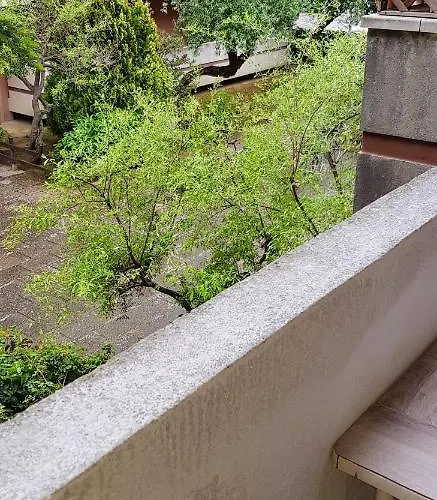 Family In Riccione, Free Bikes